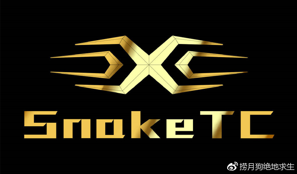 NG SPORTS-关于Karsa关键节点战术调整，TL带队取胜！的信息